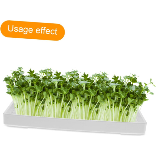 Plant Germination Tray Rectangular Plastic Sprout Tray For Mason Jar Cultivation Easy To Clean Kitchen Seed Sprouting 1