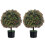2-Pack Artificial Boxwood Topiary Ball Tree with Orange Fruit 1
