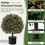 2-Pack Artificial Boxwood Topiary Ball Tree with Orange Fruit 2