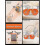 Automatic Rebound Abdominal Wheel, 4D Ab Roller with Elbow Support for Core Training, Fitness Abs Trainer Tool 5