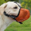 Dog Pet Muzzle Basket Stop Barking Chewing Mask Adjusting-Red S 5