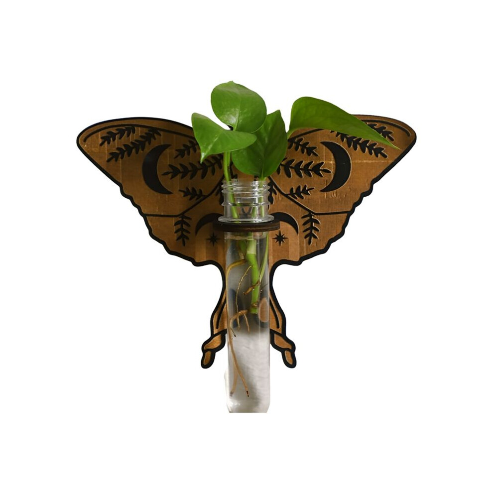 Butterfly Wall Mounted Breeding Station, Wooden Hanging Plant Stand, Plant Stand With Plastic Tubes, Hydroponic Plants B 4711629806619