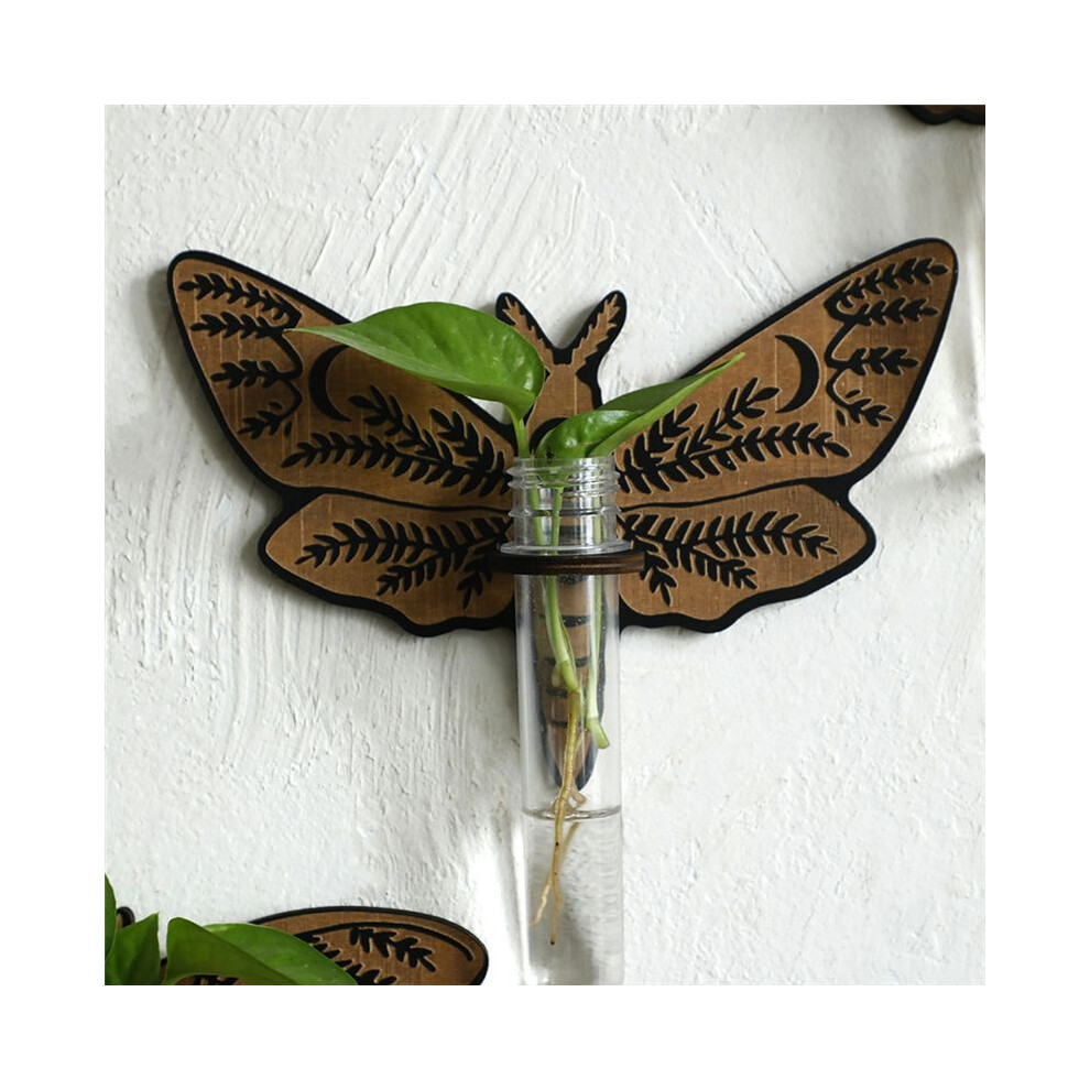 Butterfly Wall Mounted Breeding Station, Wooden Hanging Plant Holders, Indoor Plants With Plastic Tubes, A 6133752352081