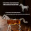 Bouteille d'aérateurs de whisky inspirée des animaux uniques, 6