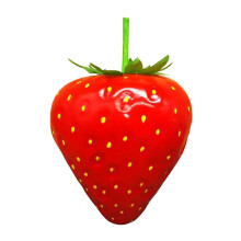 Accessoires de photographie artistique, fraise-Rouge