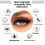 Magnetic Eyelashes with Applicator No Glue Natural Wispy Reusable False Lashes Kit A2 4