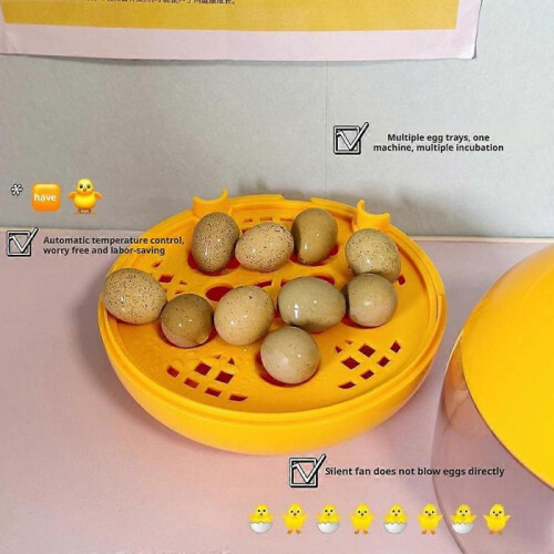 Egg Incubator for Hatching Eggs Small Smart Constant Temperature Incubator 2