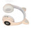 Ακουστικά Bluetooth Cat Ear για Κορίτσια και Έφηβες, Άνετο, Πτυσσόμενο Σχεδιασμό με 6