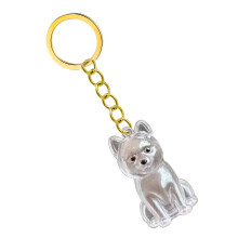 Dog Hair Memorial Box Keychain Clear Display Box Pet-Shiba Inu