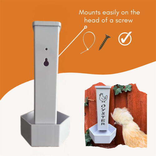 Chicken Grit Feeder and Oysters Shell Feeder Heavy Duty Chicken 2
