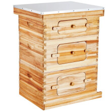 Startpakket voor Bijenkorf-Duoku-30 Frames-met Fundamenten voor Beginnende en Professionele Imkers