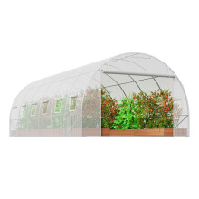 Tunnelserre-Duoku-Tunnelserre met Film-5,8 x 2,8 x 2,0 m-Tunnelserre voor Planten-met Verzinkt Stalen Frame-Witte PE-Bekleding