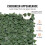 Chiusura di Riservatezza - DUOKU - Edera Artificiale - 1,5 x 4 m - Schermo Murale Verde - Tessuto A Rete 3