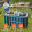 Opbergboxen - DUOKU - Model X-6275 - 65 L - Sterk Plastic - Set van 3 5