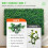 Cerca Artificial - DUOKU - 24 Paneles - 60x40 cm - 100% PE - Verde 5