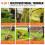 Cortasetos - DUOKU - 33CC - 6 en 1 - Multifuncional - Térmico 5