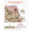 Marchestenen - DUOKU - CP25-4M - Set van 4 - Kunststof PC+ABS - Getextureerd Beige 6
