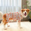 Delicate Pet Pullover Cats Outfit Pet Sweatshirt Dog-3XL 3 6