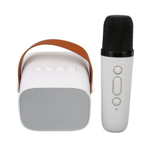 Μηχανή καραόκε Bluetooth για παιδιά και ενήλικες, μίνι ασύρματο σύστημα καραόκε με 1