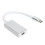 Προσαρμογέας DisplayPort για φορητούς υπολογιστές τύπου C. Το Plug Play υποστηρίζει 2