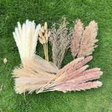 100Pcs 17 Inch Natural Pampas Grass and Dried Flowers for Boho Wedding Centerpieces Decor