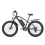 GOGOBEST GF600 PLUS 26" Mountain E-Bike 20Ah,black 2