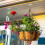 Adhesive Ceiling Hooks,10Pack Ceiling Hanger Hooks,Sticky Ceiling Hooks Hold 5kg,Hooks for Hanging Plants,Lanterns 5