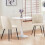 AINPECCA (Beige, 2PCS) Dining Chairs Padded Seat Velvet 2