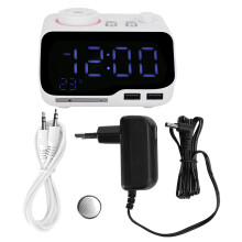 Digital Alarm Clock with Dual Alarm,Adjustable Brightness Dimmer,FM Radio,Sleep Timer,USB Charging,Thermometer Display for Bedroom and Living Room