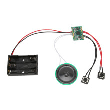 Creatieve cadeaumodule met programmeerbaar geluid, luid en helder geluid met grote luidspreker (25W vermogen) voor zelfgemaakte spraakkaarten, luid