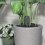 Soil Moisture Meter Tuya App Control Soil Tester Temperature Humidity Sensor for Gardens Potted 6