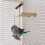 Bird Training Perches Stand Bird Breeding Equipment Home Pet 7
