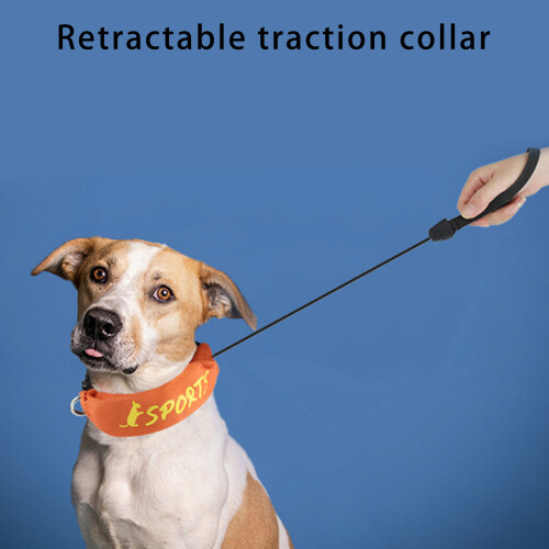 Dog Leash Slip Harness Collar with Retractable Collar Rope 3ft 1
