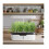 12 Pod Indoor Hydroponics Growing LED Grow Light 1