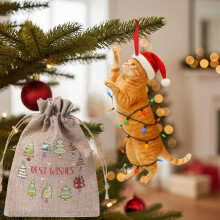 Christmas Cat Ornament DoubleSided Acrylic Orange Cat Decoration with Gift Burlap Bag