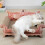 Interaction Cats Scratcher Board Cats Scratching Pad 4