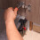 Cabinet Door Mounting Jig Adjustable Clamp,Clampable Plate Thickness 56mm,for Installing Cabinets Face Frame Frameless 2