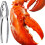 Portable Seafood Tool Collection with Carry Bag-14 piece set 6