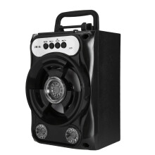 Audio Oasis,Black Abs Entertainment Console,Wireless Microphones For Karaoke,Bluetooth Party Speaker,Disco Light Show,Supports Multiple Media Inputs