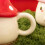Hitzebeständiger Keramikbecher-Geschenkbox mit Russula-Pilzgriff 4