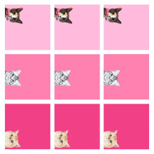 Selbstklebender Notizblock, 9 Stück, repositionierbarer-Rosa.