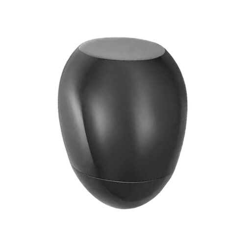 Urne pour animaux de compagnie, taille Mini, perte de-Noir