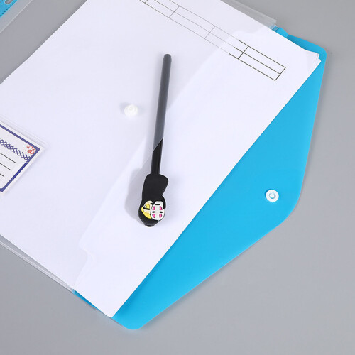 12Pc File Folders Document Folders with 11-Vertical style 6 mix 2