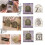 Clip Vintage pour Page de Scrapbook, pour-Le câlin du chat 2