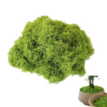 Artificial Moss for Crafts and Decorations, Realistic Fake Moss for Indoor Plant Pots 50g Light Green