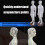 Human Acupuncture Model with Acupoints and Meridians-Female 6