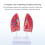 Modèle d'anatomie pulmonaire normale, modèle anatomique humain 4
