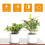 Conjunto de 24 peças de tapetes absorventes e impermeáveis para plantas, em tecido reversível, com tamanhos de 4, 6, 8 e 10 polegadas. 3