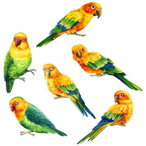 Bird Friendly Window Decals Static Electricity-CBCJD208
