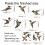 Bird Friendly Window Decals Static Electricity-CBCJD208 7
